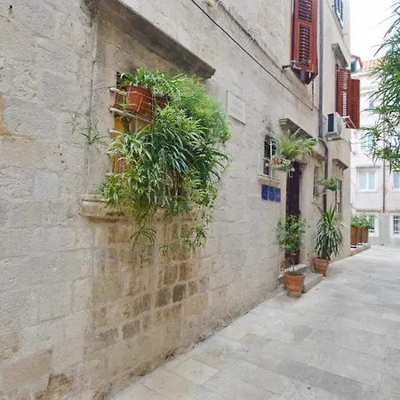 Placeta &